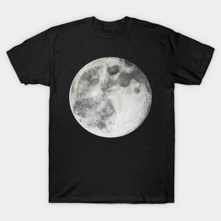 Bull in the Moon Hidden Pictures T-Shirt